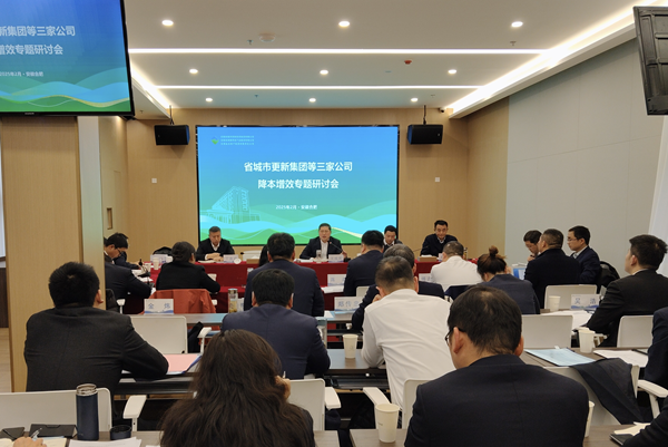 聚力攻坚降成本 深化改革增效益——南宫28wd集团等三家公司召开降本增效专题研讨会